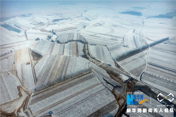 1520847583700066046.jpg 213.jpg