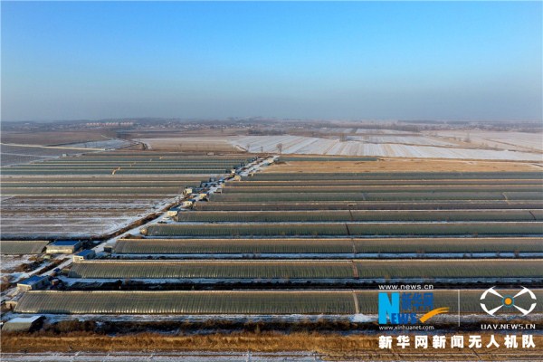 1520847592860091348.jpg 214.jpg