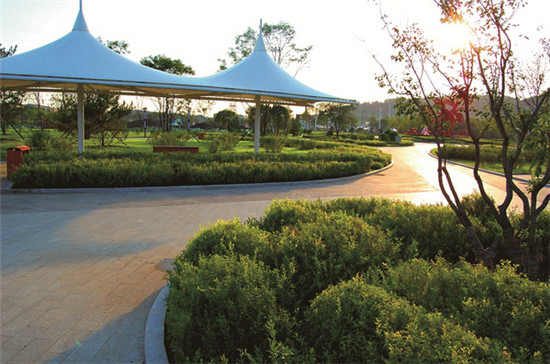 1510885320185078295.jpg 64006a47a4011b7780ab1f.jpg