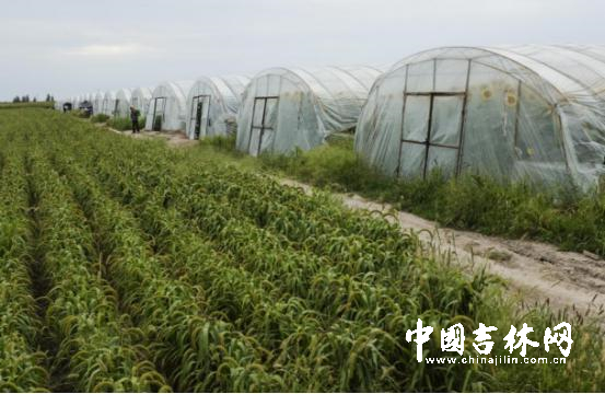 1511165803812028567.jpg eca86bd9ddc71ae29ab201.jpg