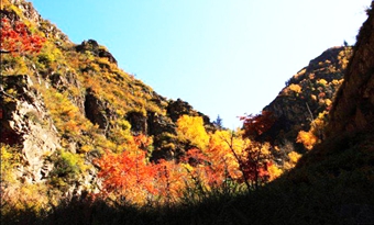 Jiufeng Mountain Natural Reserve