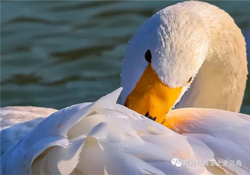 1514877255688079435.jpg 286ed488c8241b98911107.jpg