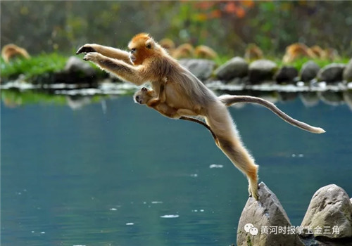 1514877266802064935.jpg 286ed488c8241b98912b08.jpg