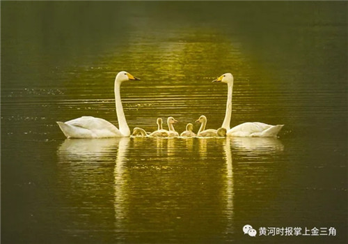 1514877280090052862.jpg 286ed488c8241b98914509.jpg