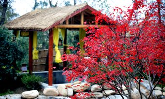 Slender West Lake Hot Spring Resort