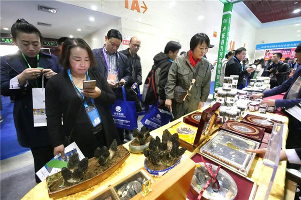 1524465991643045991.jpg 222_副本.jpg