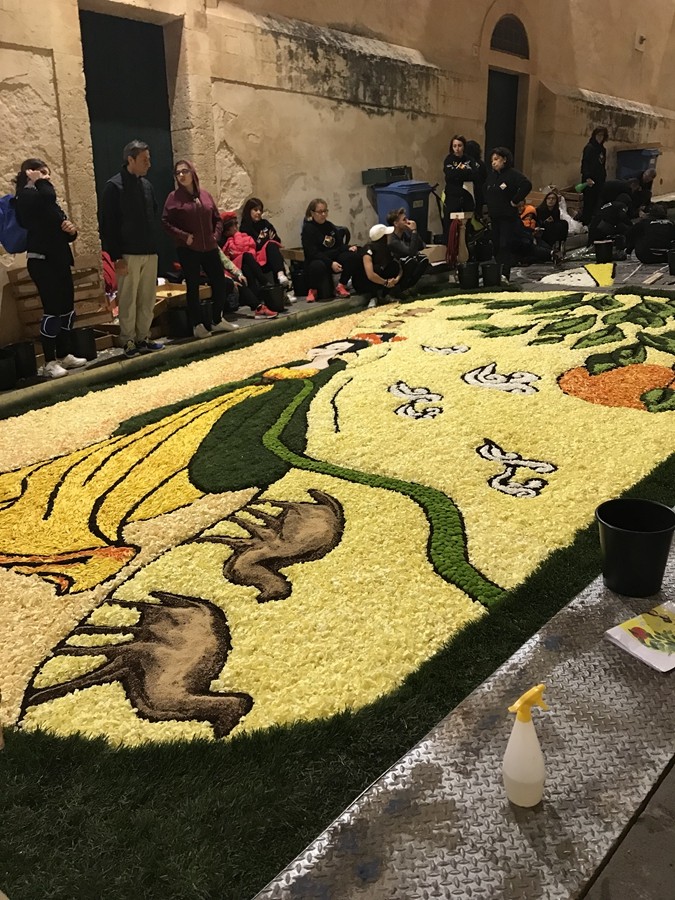 1527126319035038612.jpeg 5b057313a3103f68b65c9d67.jpeg