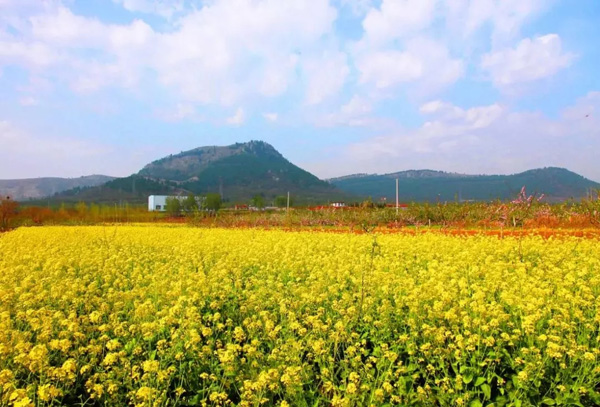 1536110043650089476.jpg 4.jpg