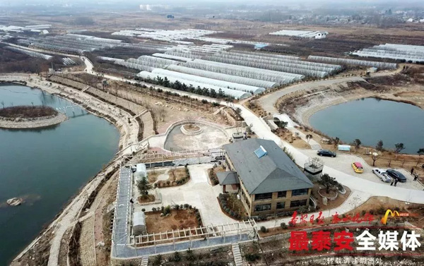 1536110090066052536.jpg 3.jpg