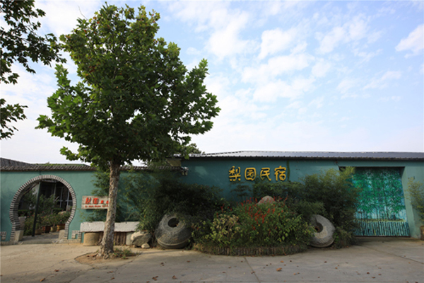 1536714908551001599.jpg 5.jpg