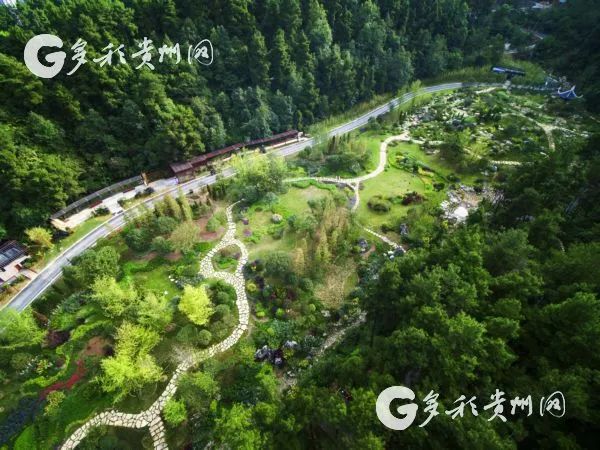 1517823386197049511.jpg park.jpg