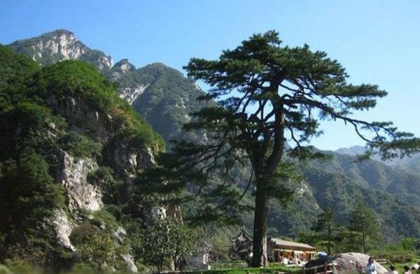 1538031001511060713.jpg 5.jpg