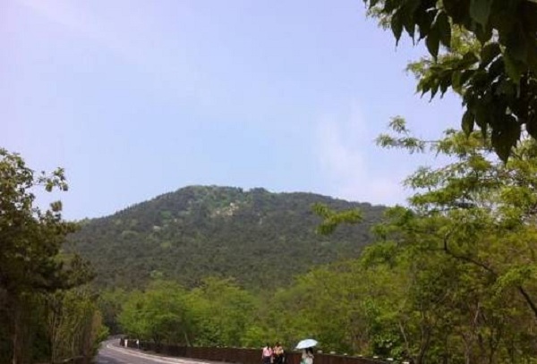 1538031012960047842.jpg 6.jpg