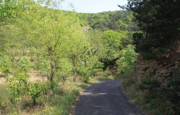 1538031074456076381.jpg 10.jpg