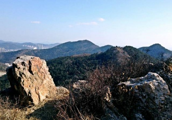 1538031097409081326.jpg 11.jpg