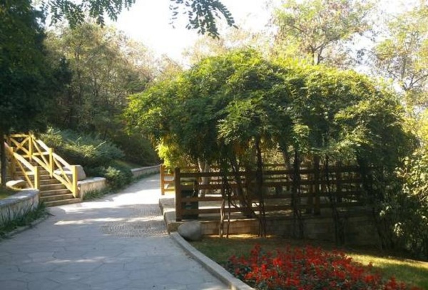 1538031143776029624.jpg 14.jpg