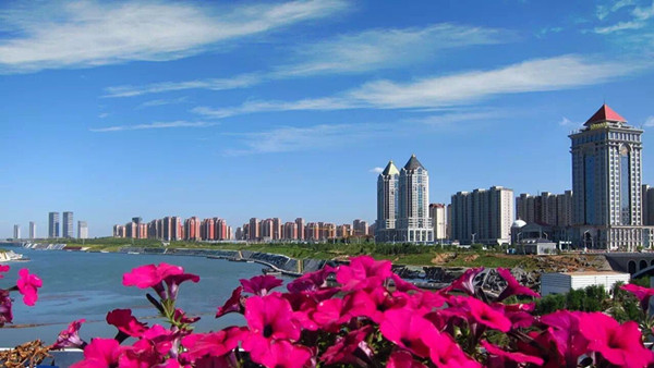 1512305890697031147.jpg 1.jpg