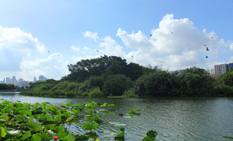 Liuhua Lake Park