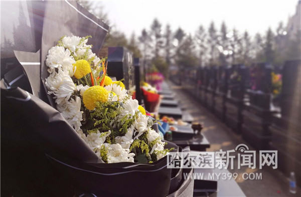 1522833998073082296.jpg 图片15.jpg