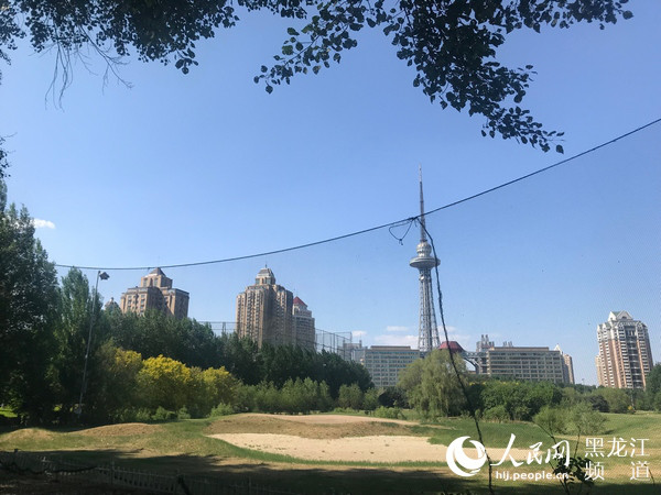 1527499405035013862.jpg 图片3.jpg