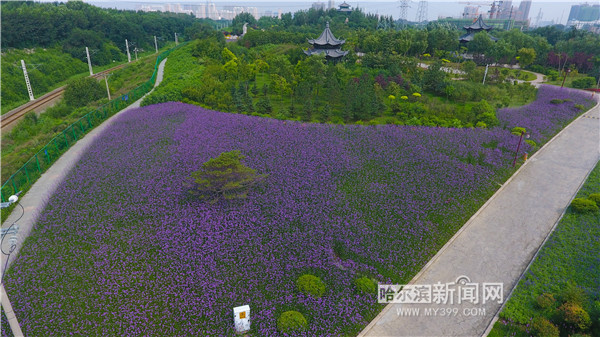 1532510193042073318.jpg f9584293800d2900a30f804a2068c220 (1).jpg