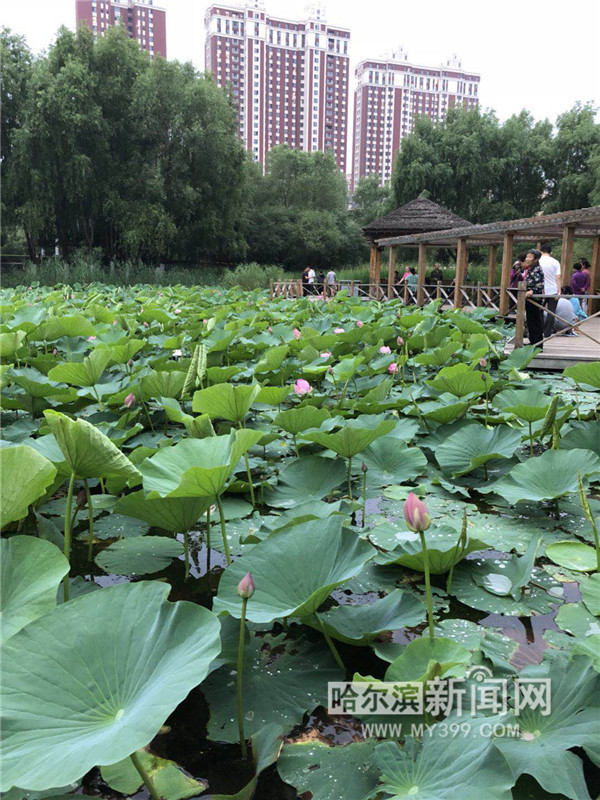 1531385013712014799.jpg 图片2.jpg