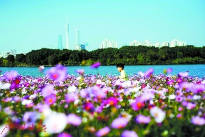 1498096490250050048.jpg 2.jpg