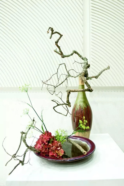 1499934330496073289.jpg 640.webp (2).jpg