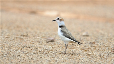 1500513478906094434.jpg 158827_jiangjw_1500390248071_b.jpg