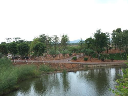 1502415756044017327.png p1_副本.png