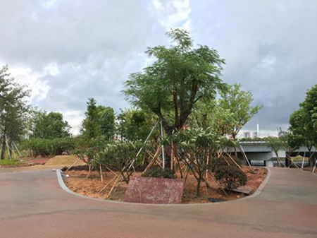 1502415780356091678.png p2_副本.png