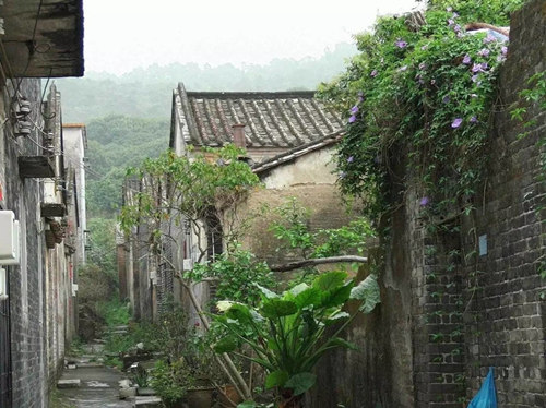 1504661487677054443.jpg f2_副本.jpg