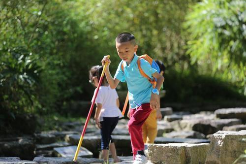 1507599944163087005.jpg z5.jpg