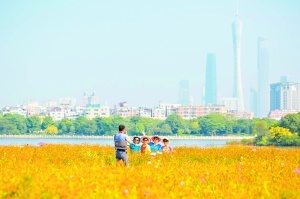 1507627059575096547.jpg 2.jpg