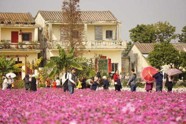 1519349467993044372.jpg dm1_副本.jpg