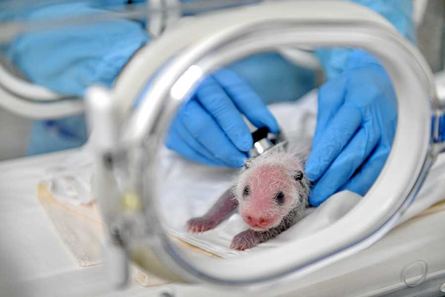 1532655690056068710.jpg 1532655690056068710.jpg