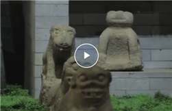 Video: Leizhou's worship of stone dogs