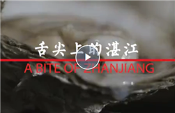 Video: A bite of Zhanjiang