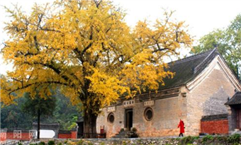 Xiangyan Temple