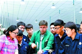 Wuxi offers subsidies for top technical expats