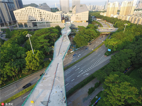 1531387663443052269.jpg 4.jpg