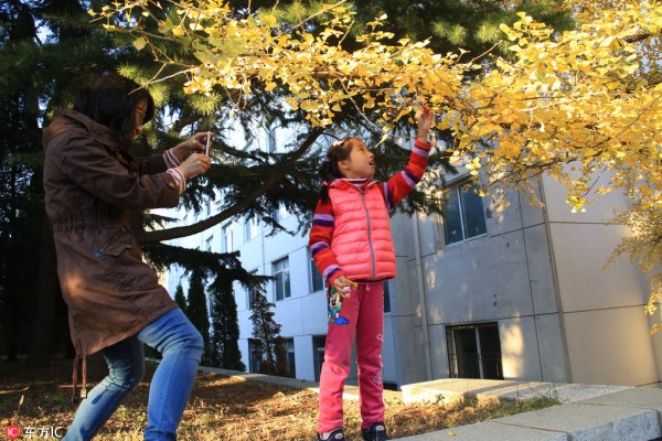 1540961092094070409.jpg 东北财经2.jpg