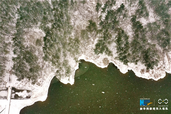 1547515054145056648.jpg 南阳2_副本.jpg