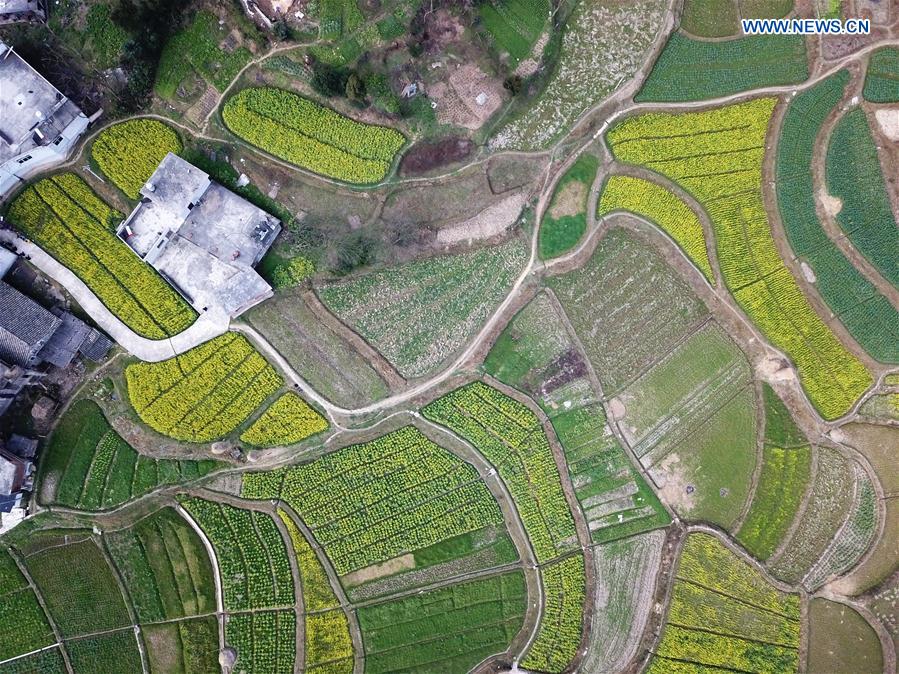 1549934871074092335.jpg 1549934871074092335.jpg