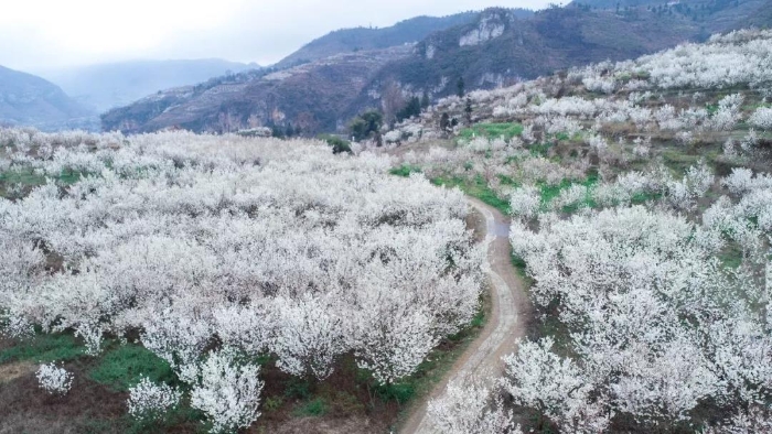 1550625435443056542.jpg 1550625435443056542.jpg