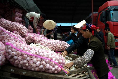 1551171332363079515.jpg 1.jpg