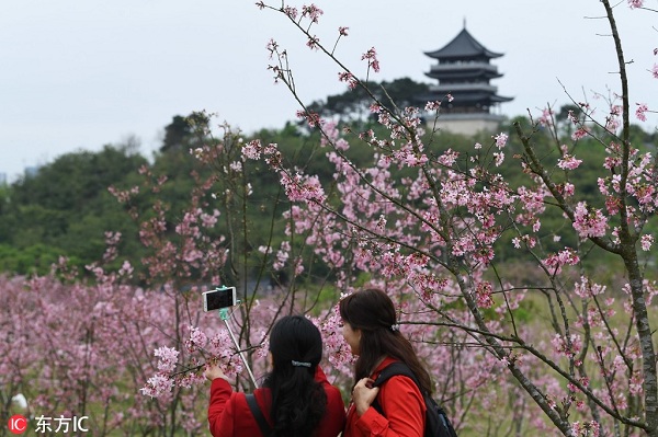 1552526084038022511.jpeg 5c89a68ba3106c65ffff19ce.jpeg