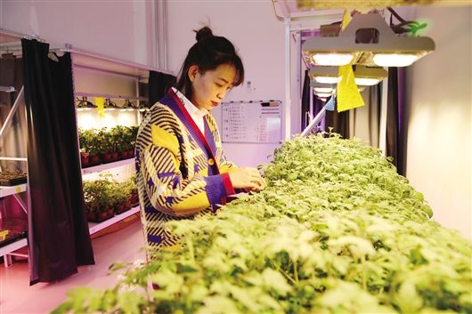 1553154669245022758.jpg res01_attpic_brief (2).jpg