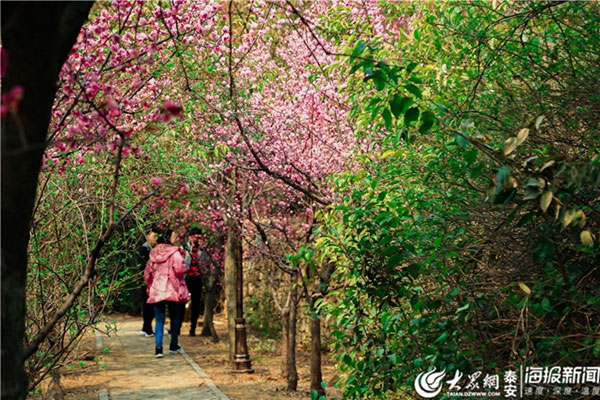 1553478967275027040.jpg 66666.jpg