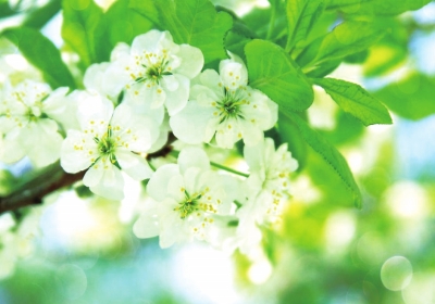 1553737574928090312.jpg 南阳1.jpg